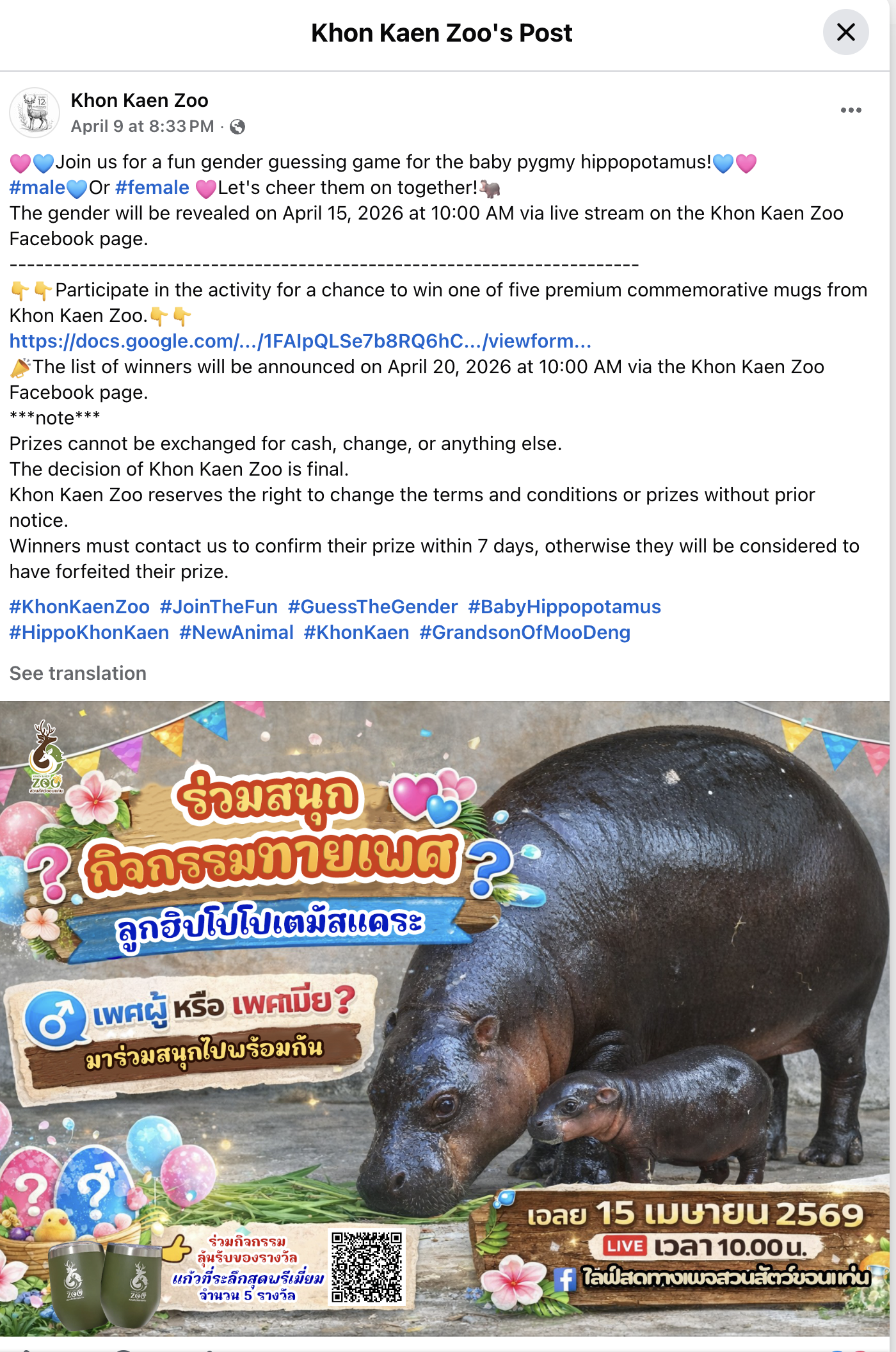 Hippo